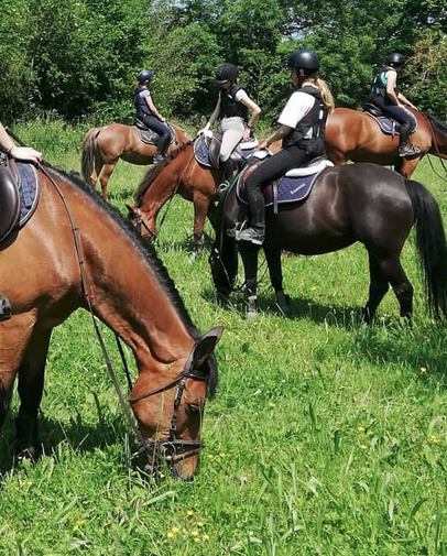 Balade à cheval