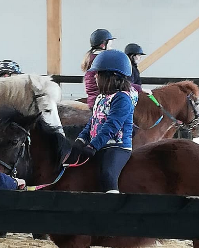 Cours d'équitation en groupe